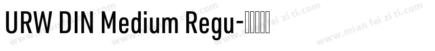 URW DIN Medium Regu字体转换